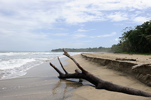 Puerto Viejo de Talamanca Caribische kust leeg strand