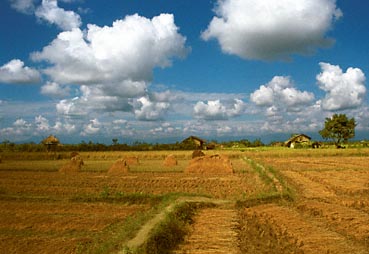 Fields and clouds, Chitwan National Park