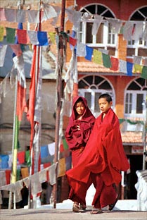 Very young Buddhist monks.