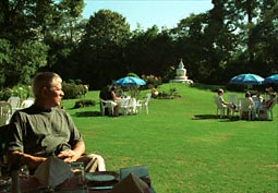 Garden of hotel Malla, with Stupa as you see!