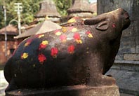 Goraknath Tempel Complex, de stier Nandi, voertuig van Shiva