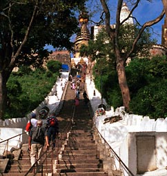 We beklimmen de trappen van Swayambhunath - sorry, ik heb net dat aapje gemist!
