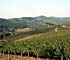 Toscane