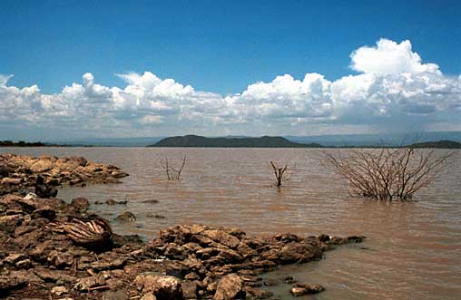 Uitzicht over lake Baringo