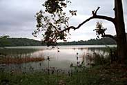 Lake Duluti