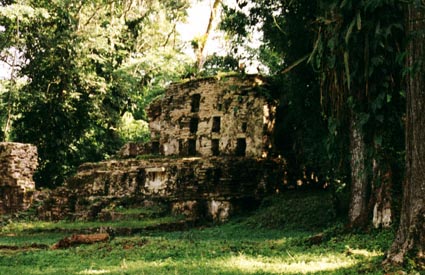 Ruine verborgen in de jungle